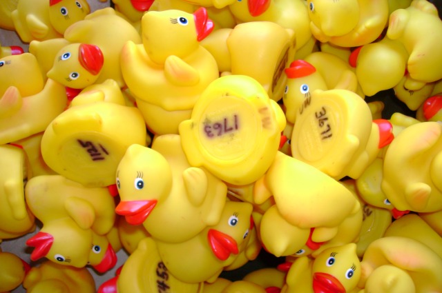 rubber ducks